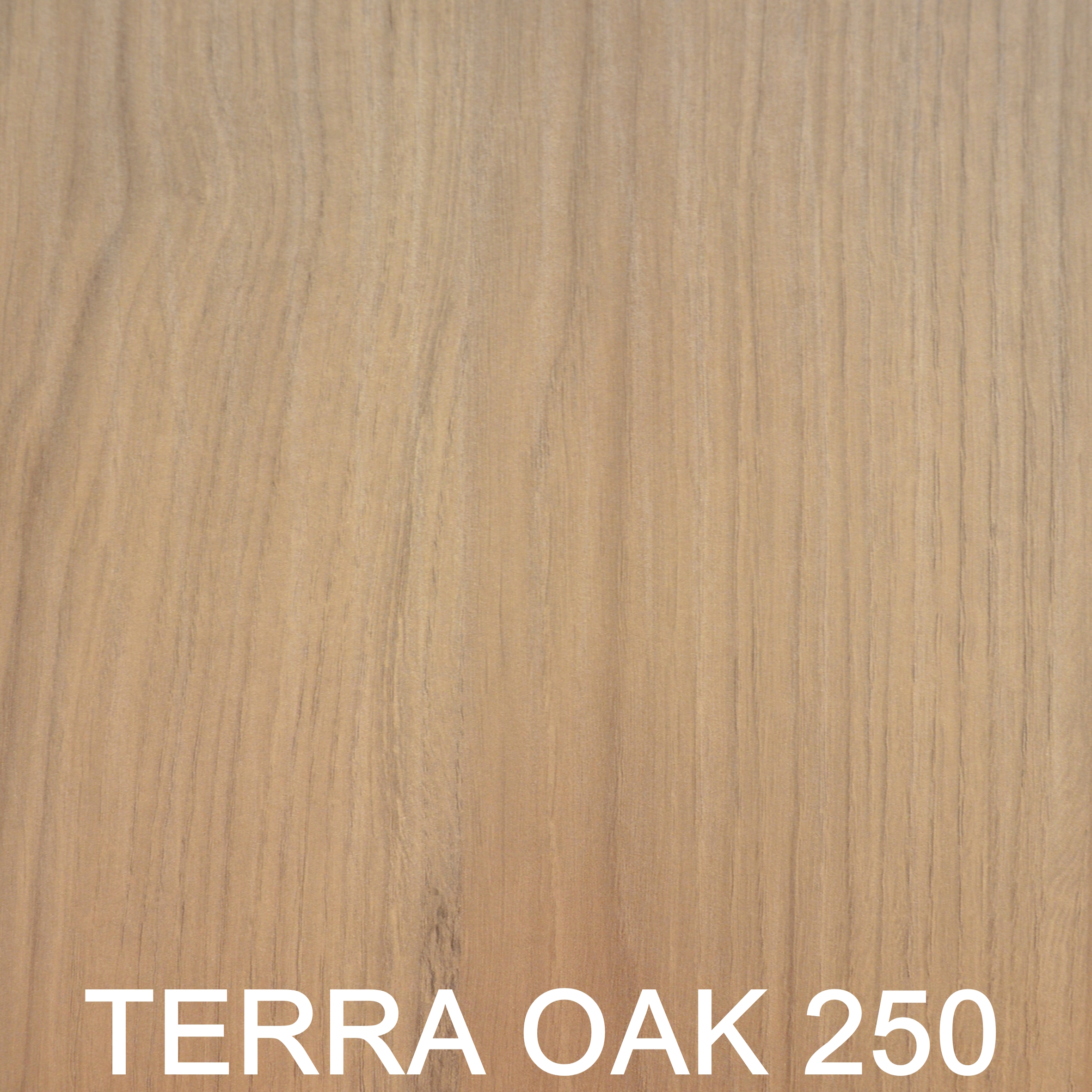 Terra oak